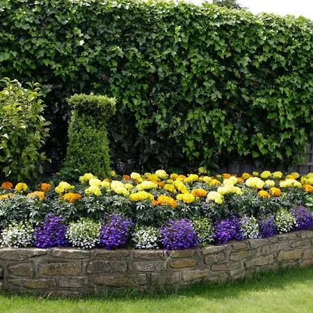 Bed & Breakfast Rosemount Dundalk