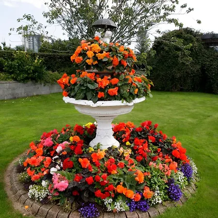 Bed & Breakfast Rosemount 4*